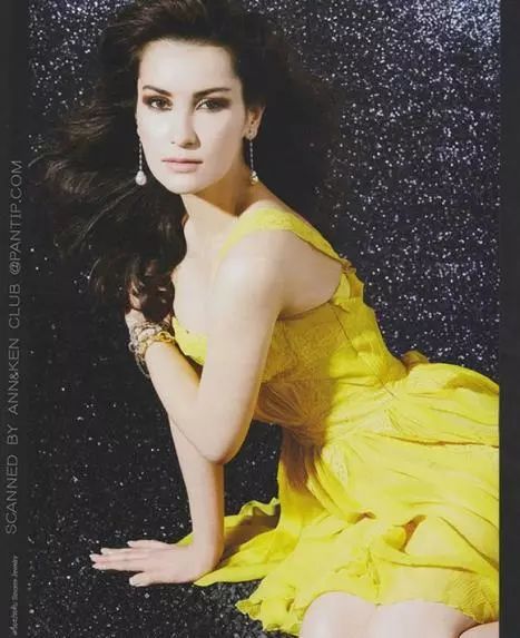 宝藏大学之法政篇