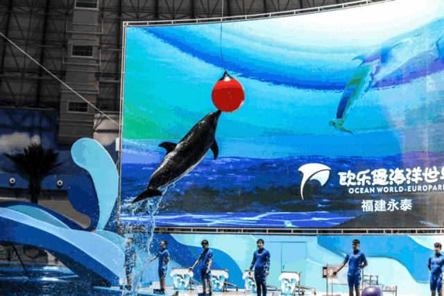 六一儿童节游玩玩些什么,六一玩乐全攻略