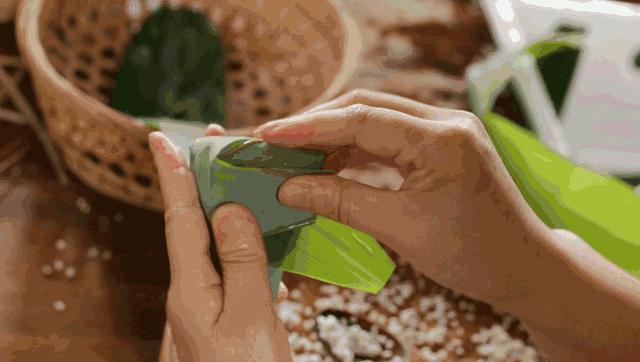 粽叶泡过硫酸铜和正常的区别,怎样辨别粽叶有没有浸泡过硫酸铜