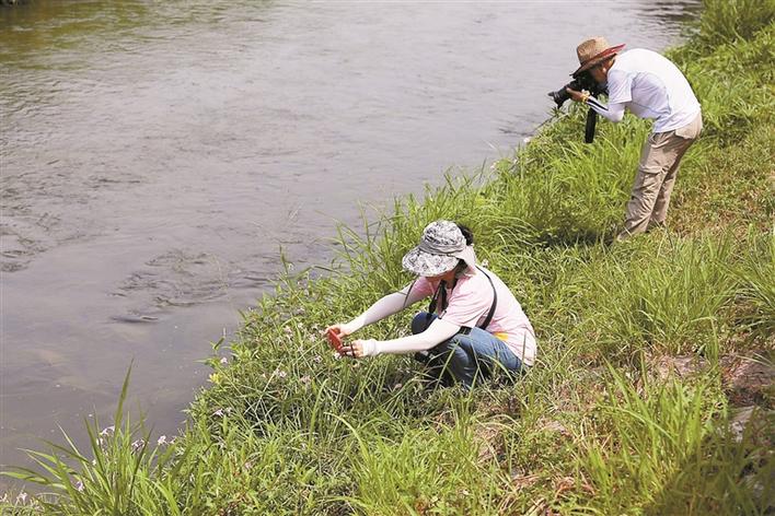 一女子赏花归来眼睛红肿泪流不止医生一查发现竟是