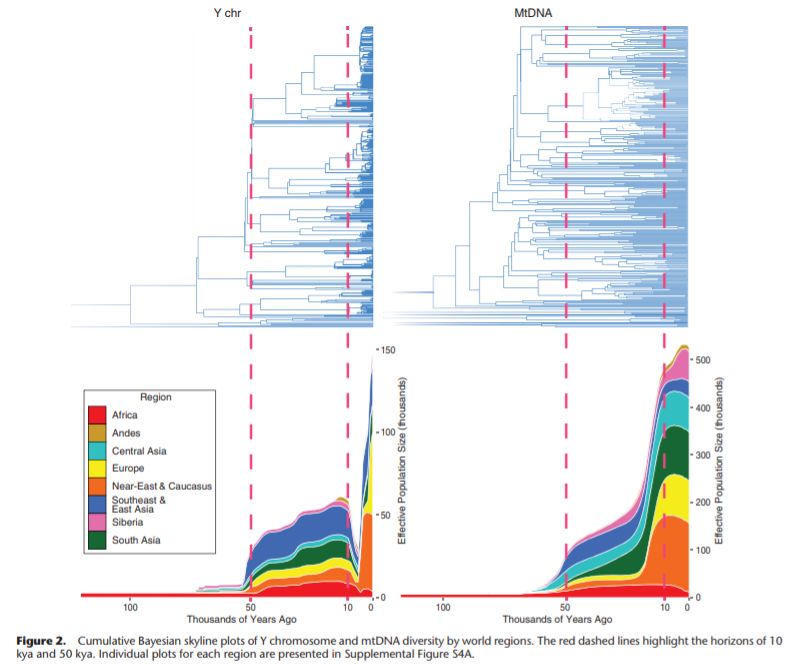 8亿男人都是11个帝王的后代?中国人到底是不是本土进化来的?答案令人惊诧!
