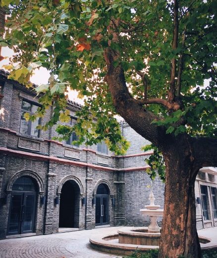 鲜城探店|夏季来临，庄里最火爆的人气夜市约起来！五大美食街一网打尽！人均不到50元吃个遍！