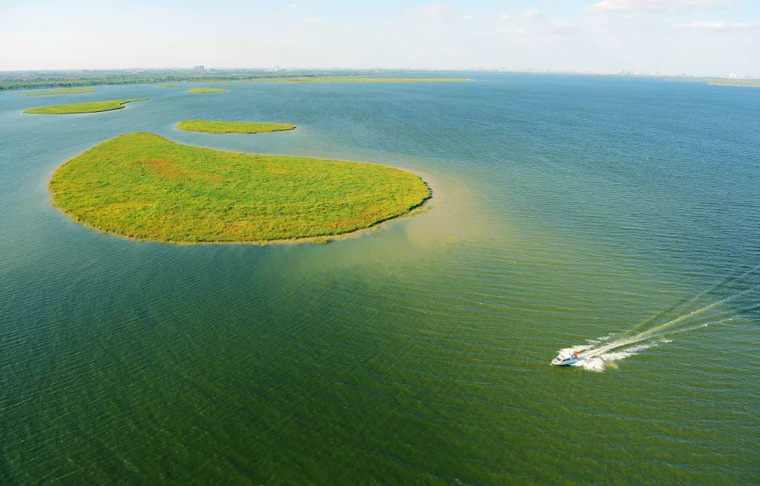 静海区绿化工程,高质量推进生态绿化建设