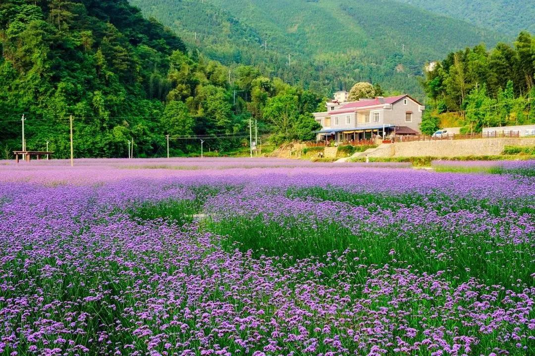 24日旅游精选：酒店里这些玩意儿，到底是干嘛的啊？