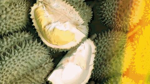 进口水果小百科系列|你的“猫山王”是真的吗?