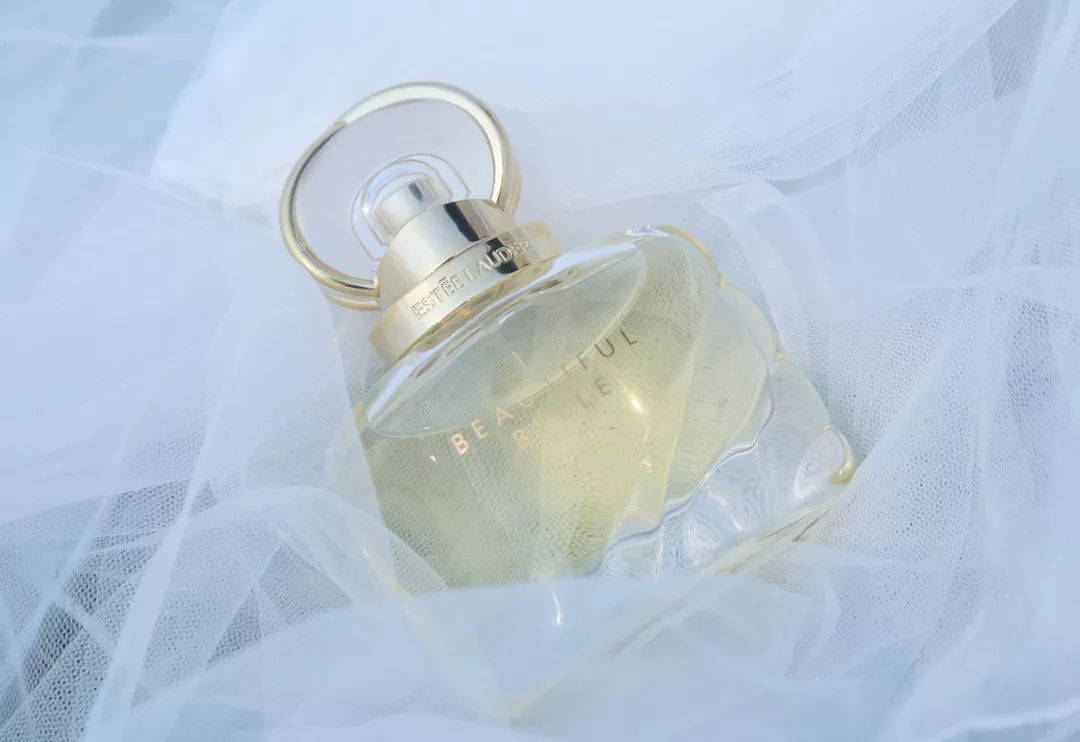 寻香|还原派VS颠覆派？诶呦~想不到这花还有两副面孔！（上）