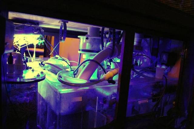 鉴定完毕就是好人吗,鉴定完毕就是亲生的没错了