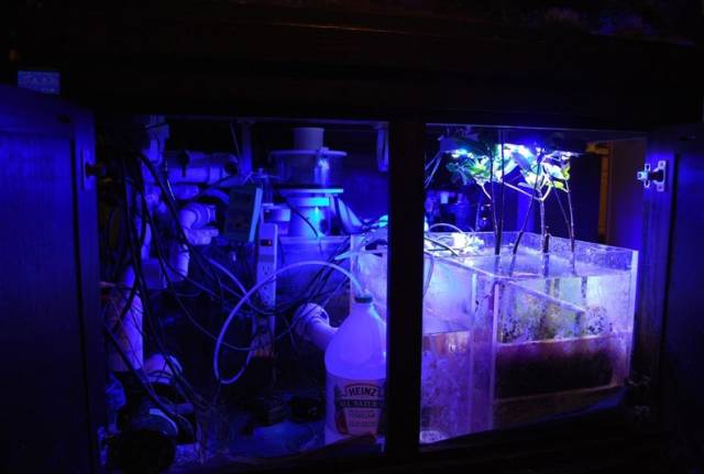 鉴定完毕！这一定是个有钱的主儿