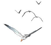 童心未泯明天就去校门口找回忆去