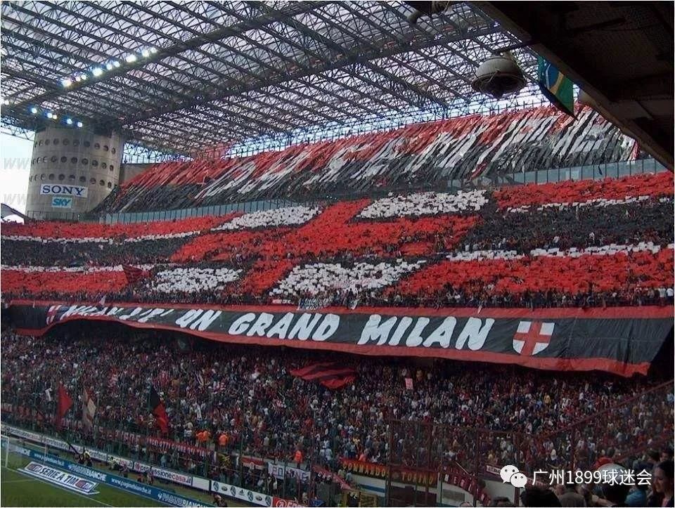 分会的工作总结,分会2020年工作计划