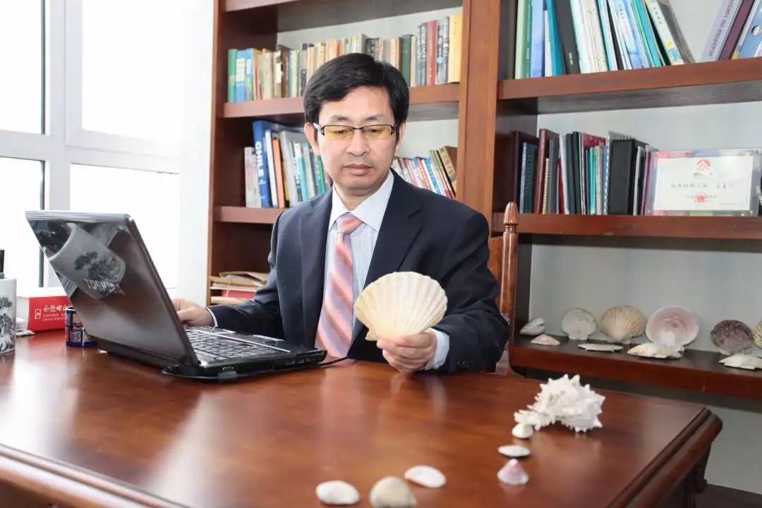 青农育出ins风扇贝|金色扇贝富含类胡萝卜素？又饿了！