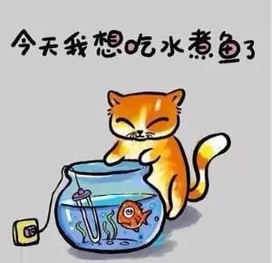 摘樱桃、做蛋糕！这个周末全家一起嗨！《周末去哪嗨》第八站火热报名开启