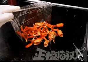 正惊GIF囧图：史上最硬核的学霸，女装大佬是怎么坐地铁的？