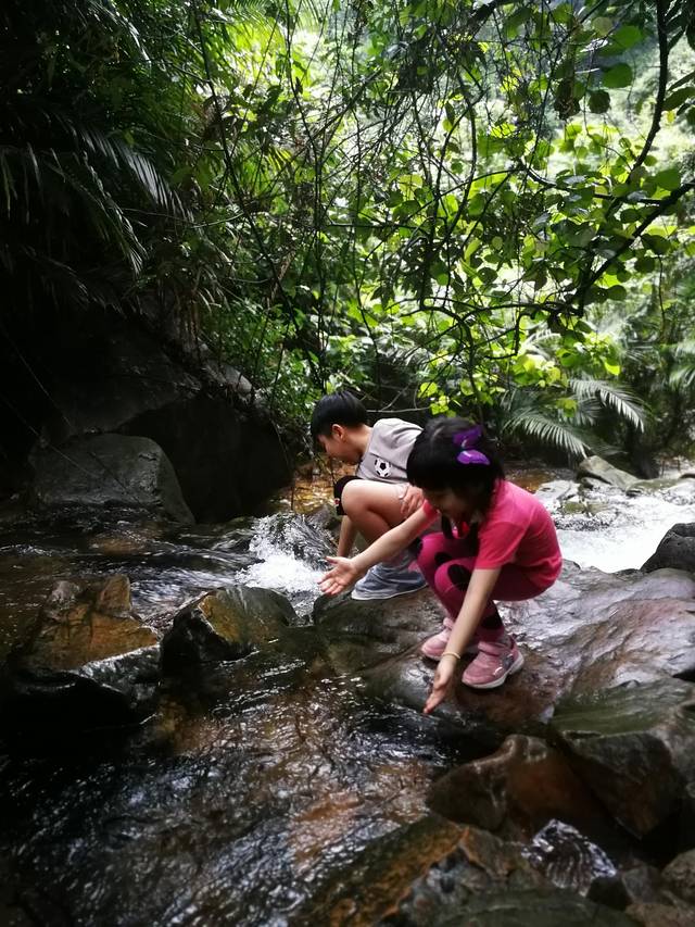 肇庆七星岩鼎湖山自助游,肇庆鼎湖山和七星岩相距多远