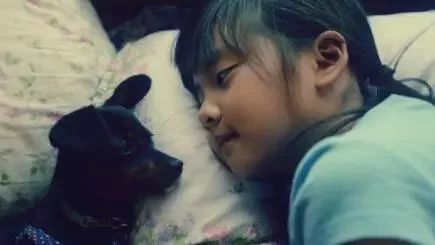 黄磊女儿13岁被骂上热搜,黄磊对女儿的评价