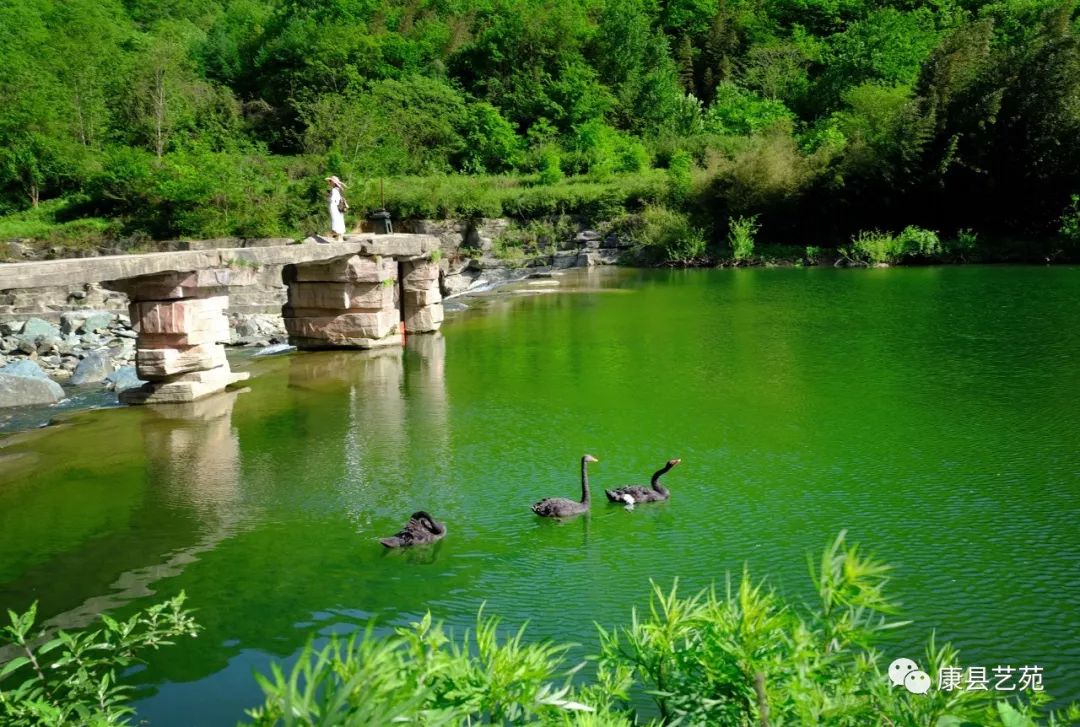 陕西一个作家最多的地方,陕西安康的出名作家