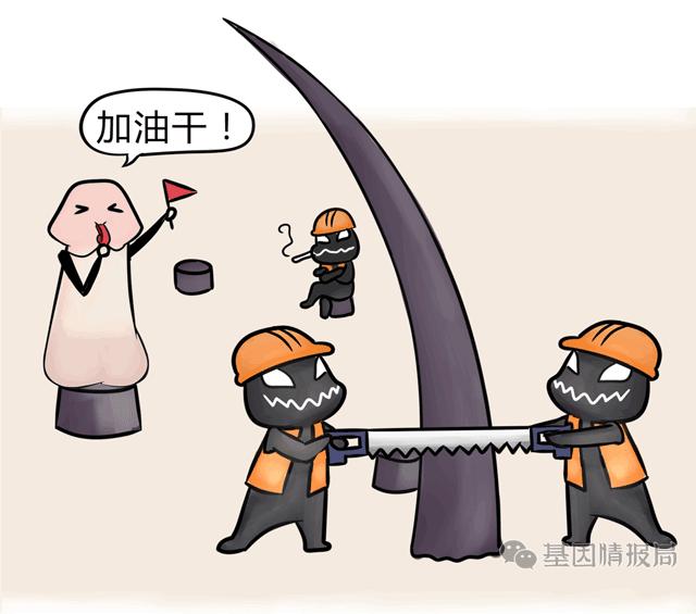 漫画科普：求求你别再脱了，我快看不下去了！