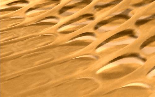 乐事薯片不碎吗,品客薯片和乐事薯片哪个好吃