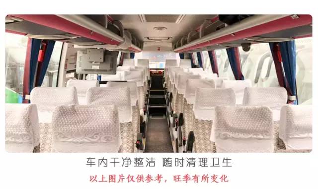 大熊猫铲屎官,都江堰熊猫谷铲屎官报名