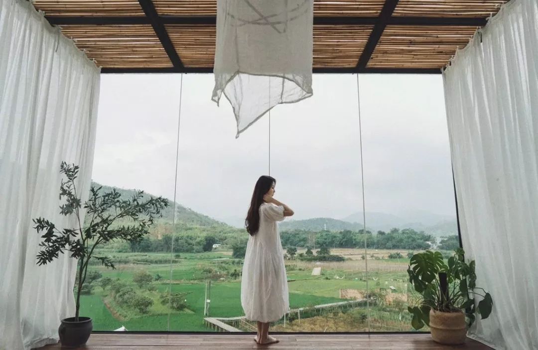 7个闺蜜在稻田里爆改了个“玻璃盒子”，只为兑现养老之约，却意外走红