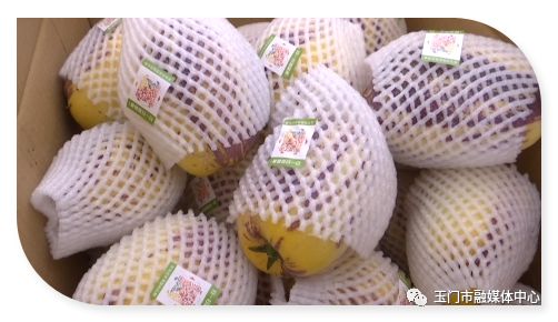 清泉人参果采摘园,清泉人参果特产介绍