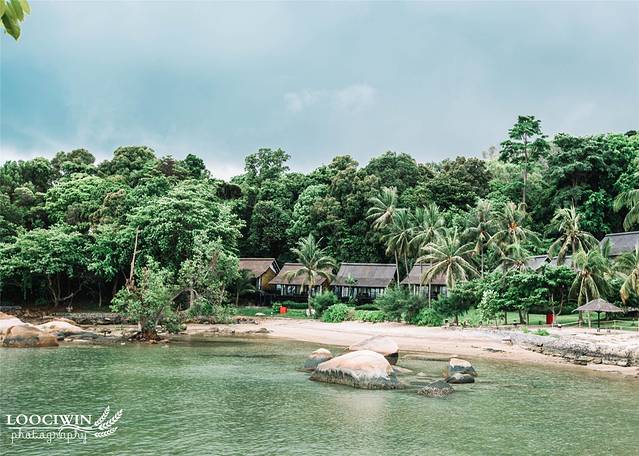 宸存贰灏忓反鍘樺矝,宸存贰