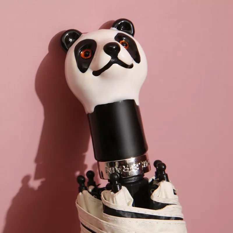 不惧台风的雨伞,无惧风雨的摩托车雨衣