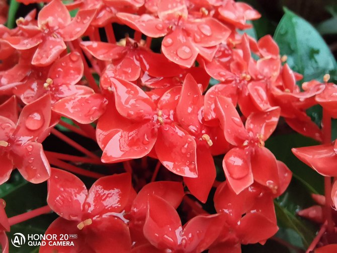 荣耀20Pro测评,荣耀20pro详细测评视频