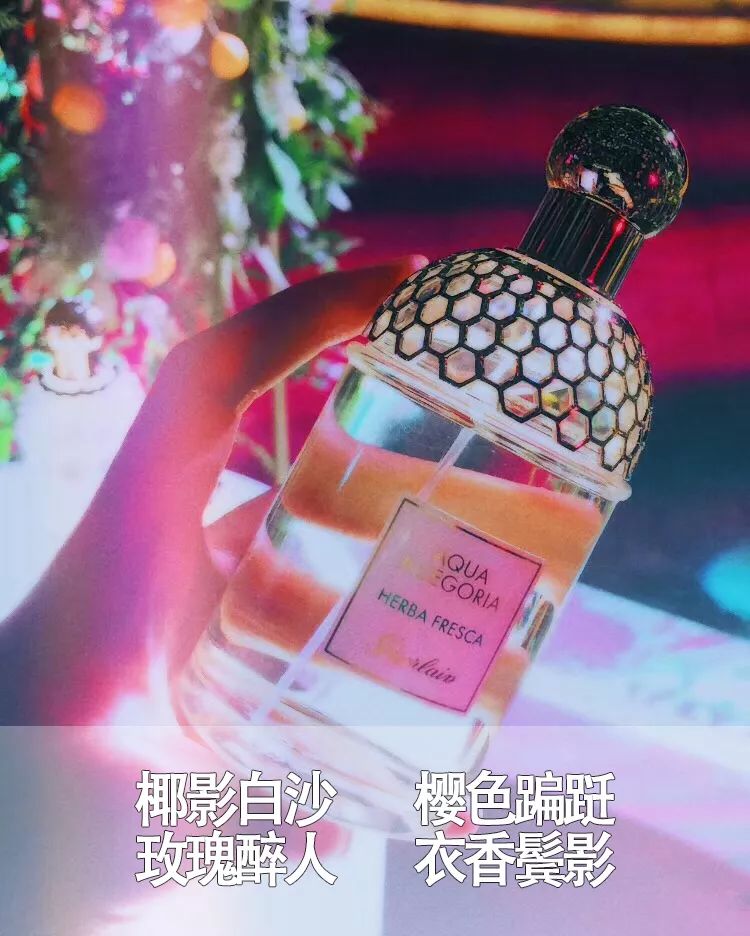 弘叔去哪儿|弘叔的美丽情报局放招啦，小心特派员找上“你”