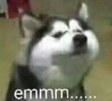 「宝贝们」知道自己有多“火”不？我们帮你盘一盘