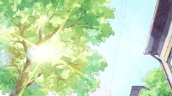 夏至小tip|再也不用担心下水口，小飞虫乱窜了