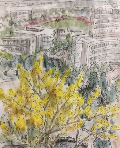 流向远方的未名溪