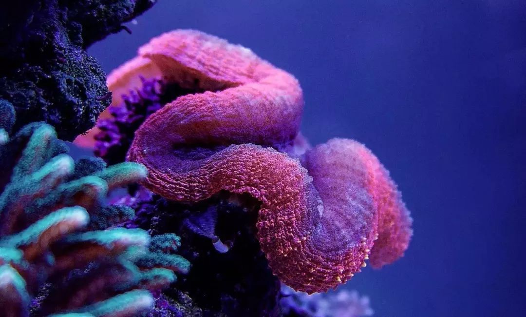 校准ph偏低,ph数值低