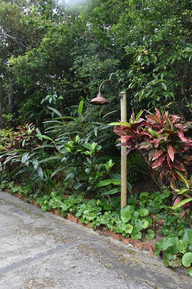 冲绳岛上的人间仙境,冲绳城市