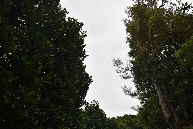 冲绳岛上的人间仙境,冲绳城市