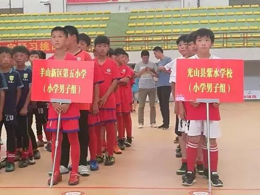 光山紫水学校照片,光山县紫水学校2020届