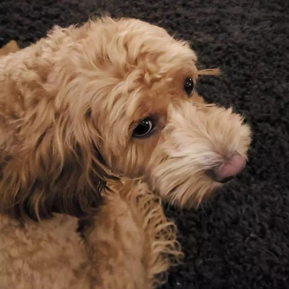 收拾行李只需要十分钟,10分钟收拾东西