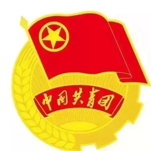 关于青春志愿的感悟,这次志愿带给你怎样收获和感触