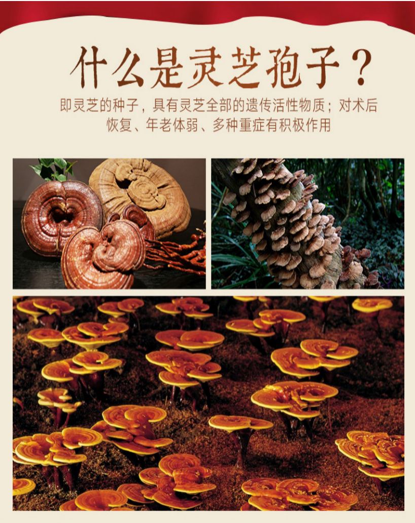 同仁堂灵芝破壁孢子粉两种包装,北京同仁堂灵芝孢子粉包装