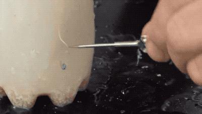 牛皮容易吹爆，但用这种普通食材泡过的气球戳不爆|科学DIY