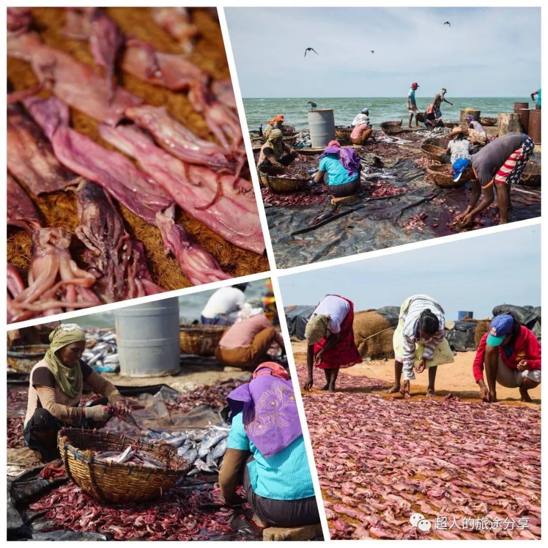 丝路东游记29视频,丝路东游记锡兰