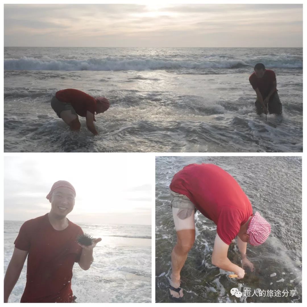 丝路东游记29视频,丝路东游记锡兰