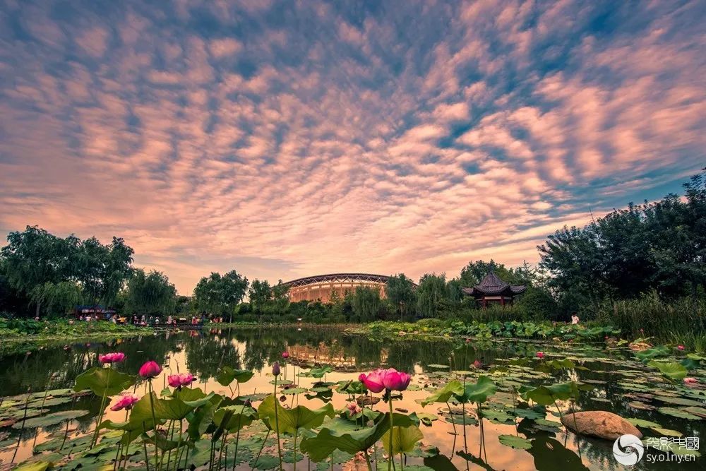 南阳有哪些山水风景区,南阳周边美景有哪些