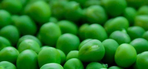 有必要用哪一款水乳,一辈子就能用一套水乳