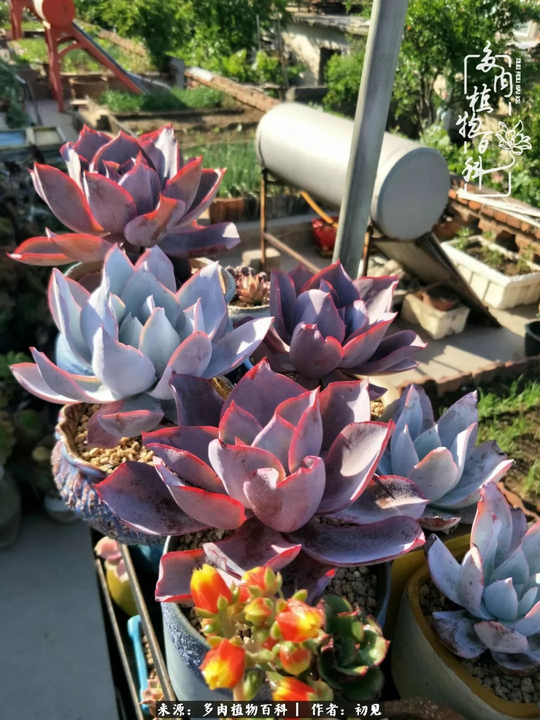 紧张的高三生活也需要适度的放松,紧张焦虑高考