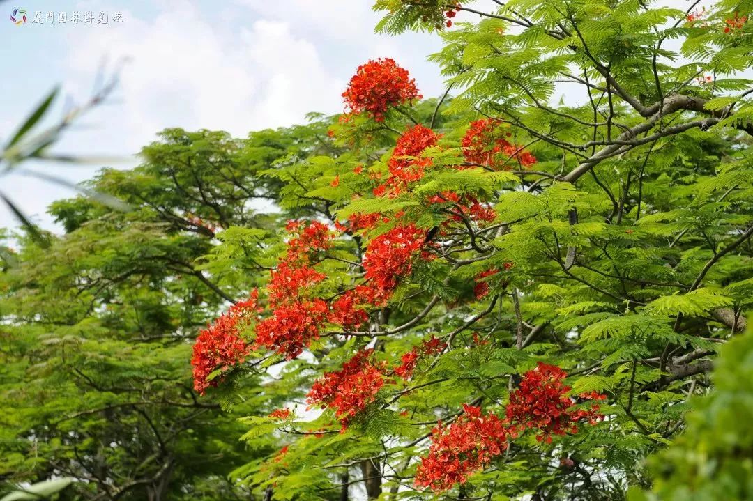 厦门适合带孩子去玩的地方推荐,厦门6月份哪里好玩