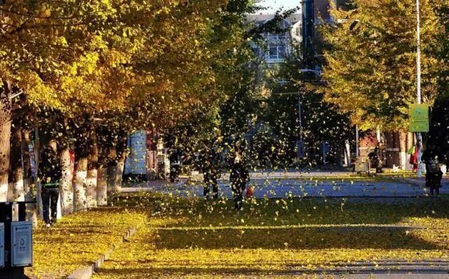 高考沈阳高校,高考沈阳志愿