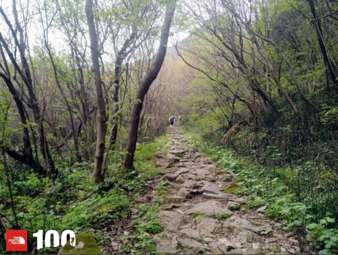 tnf100官网成绩查询,tnf100秦岭国际越野跑