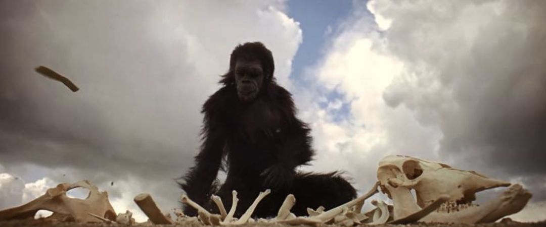 为什么看不懂区块链,你不了解的区块链