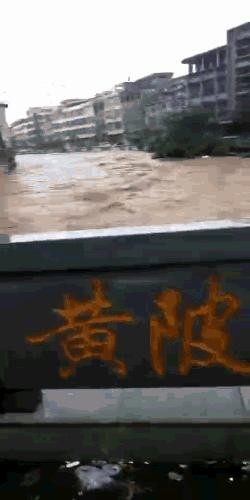 暴雨受灾地区可以自救么,暴雨农作物受灾地区有哪些